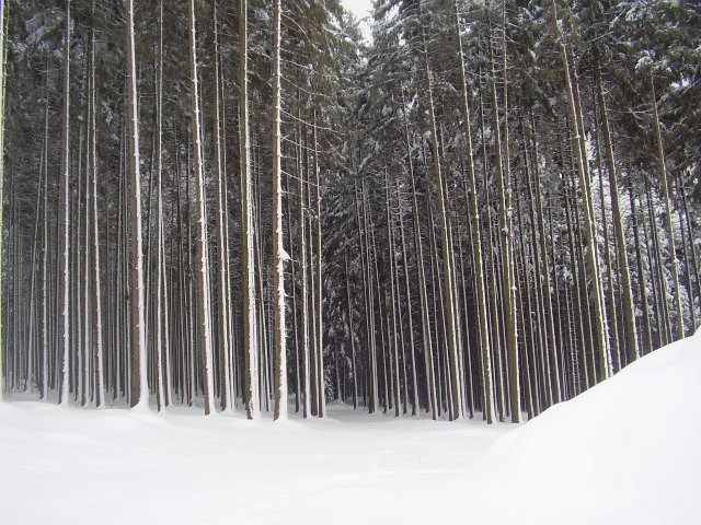 P1010043.JPG